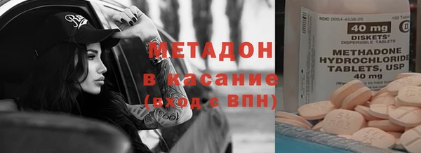 индика Пестово