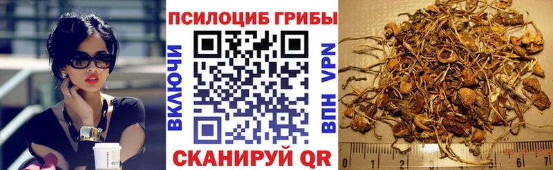 Галлюциногенные грибы мицелий где продают гидра зеркало Биробиджан